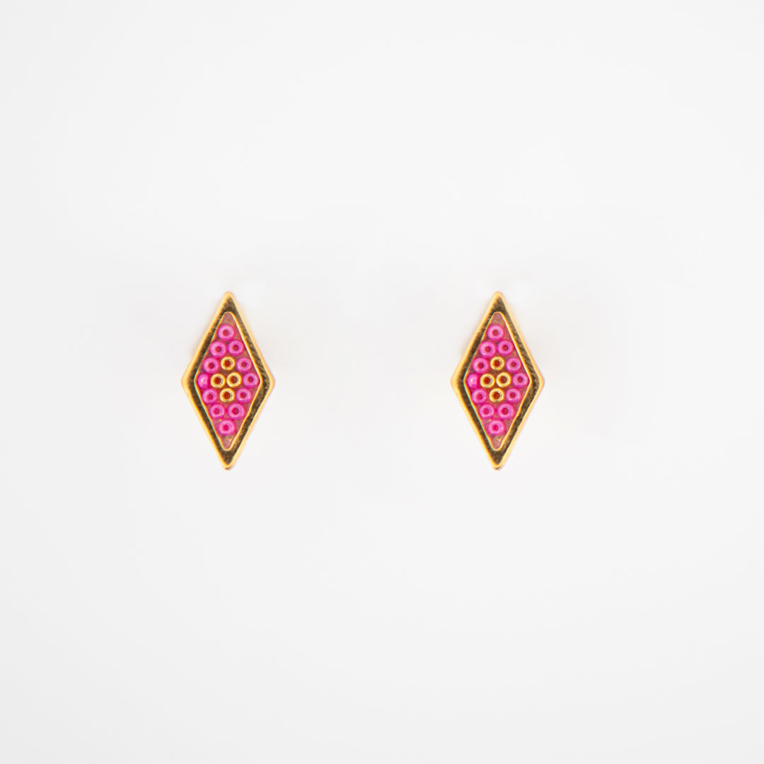 Aretes Entendimiento y protección