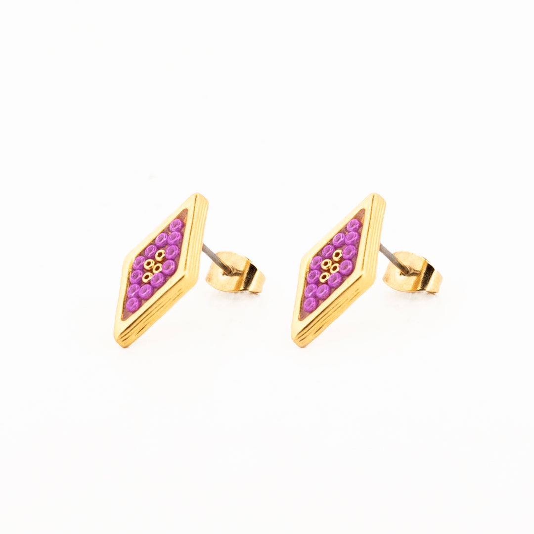 Aretes Entendimiento y protección