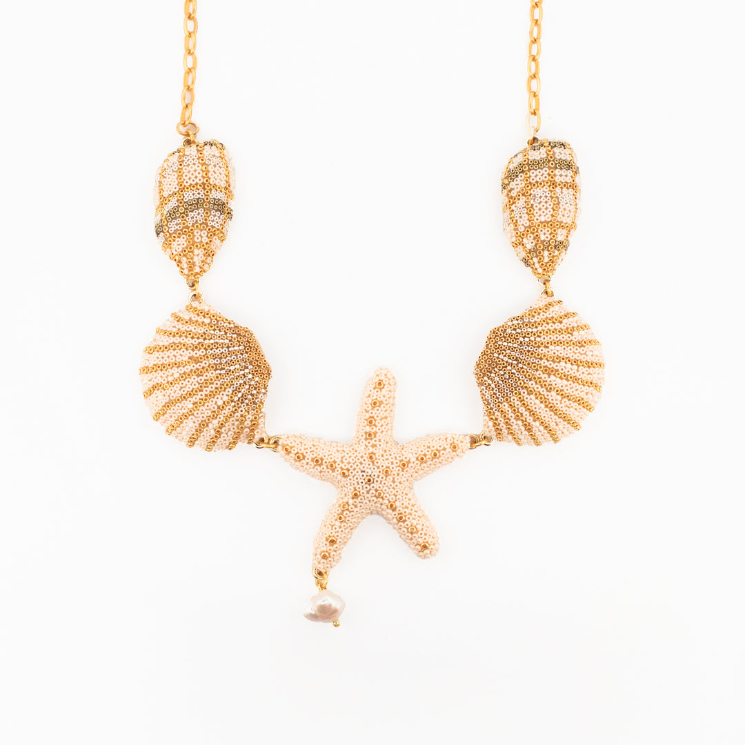 Tesoros del arrecife