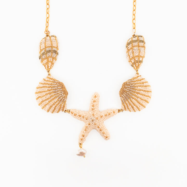 Tesoros del arrecife